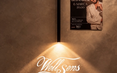 Wellsens - Jesteśmy Partnerem koncertu Kamila Bednarka